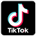 Tiktok Downloader
